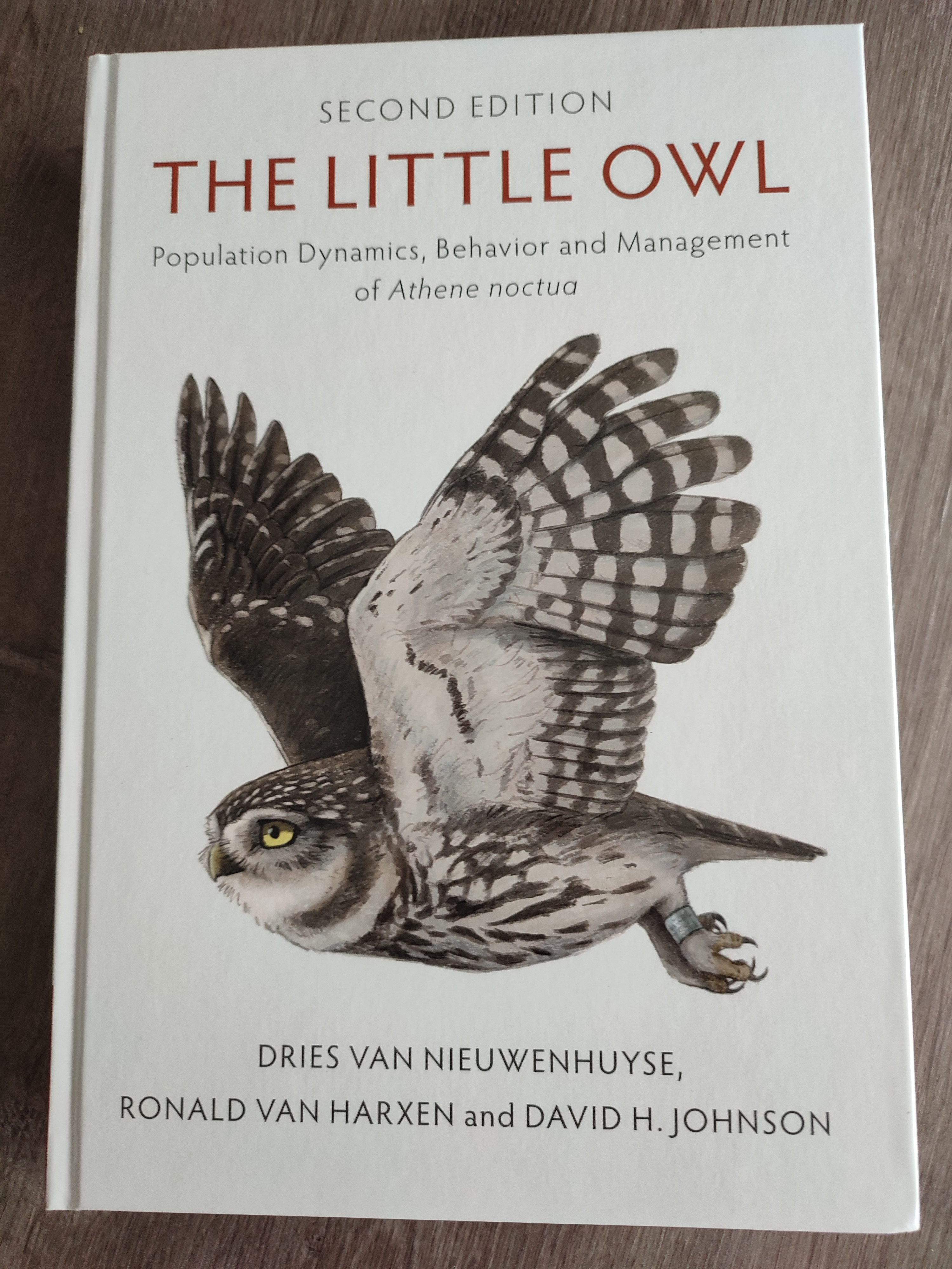 The Little Owl