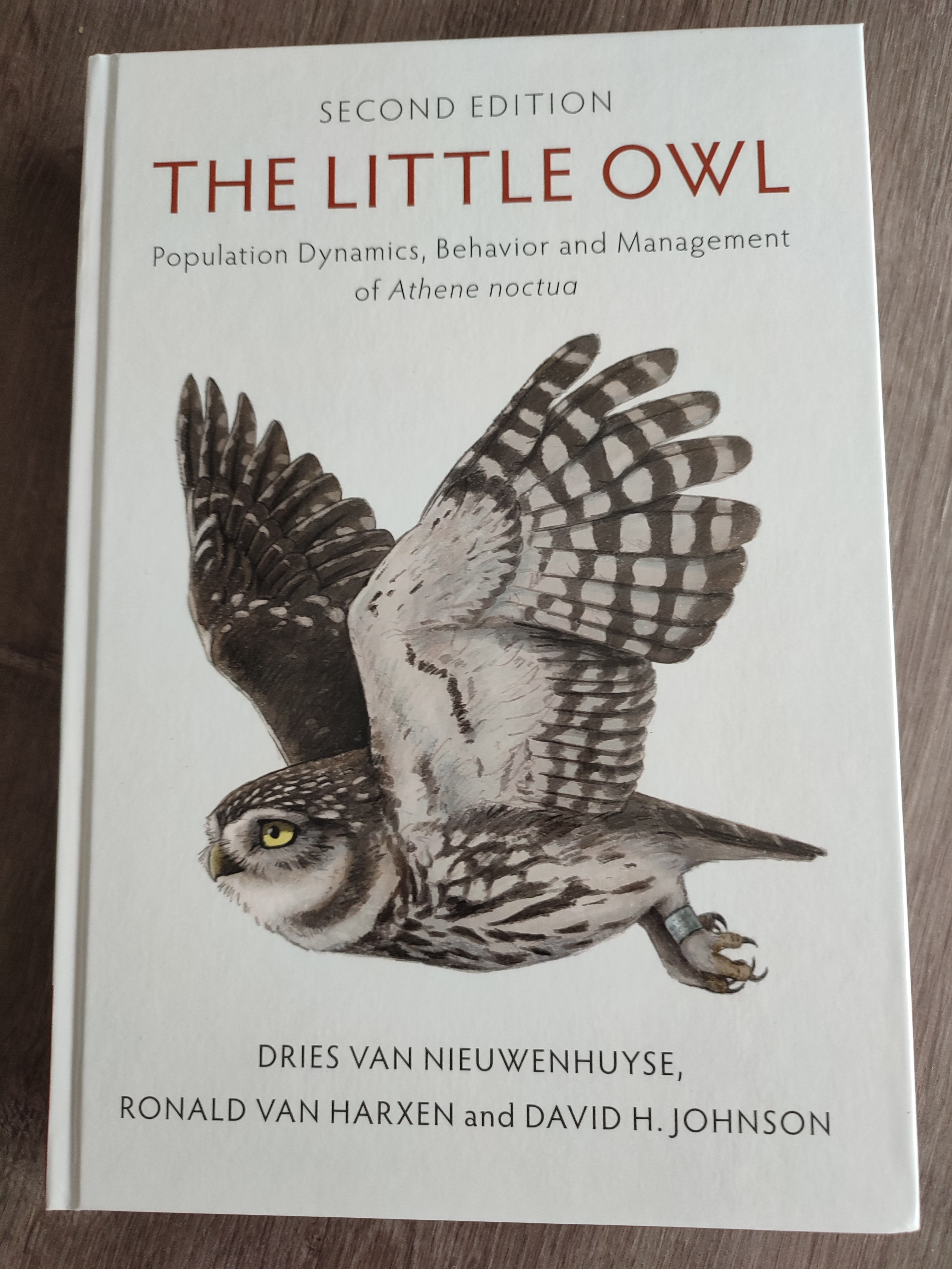 The Little Owl The Little Owl