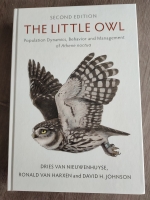 The Little Owl-01