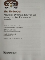 The Little Owl-02