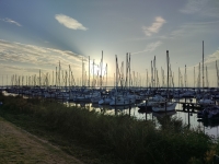 08 Stadsdichterdag in Lelystad Nederland